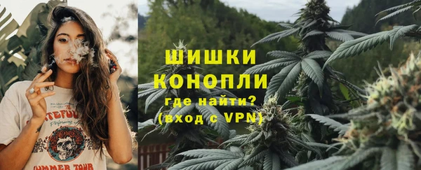 винт Котовск