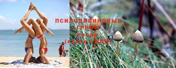 сатива Лагань