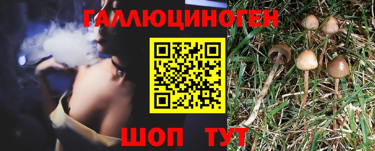 COCAIN Малоярославец