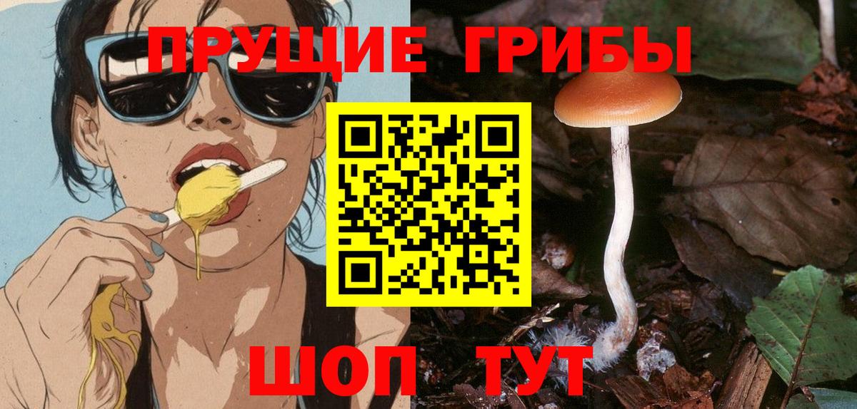 Псилоцибиновые грибы GOLDEN TEACHER Малоярославец